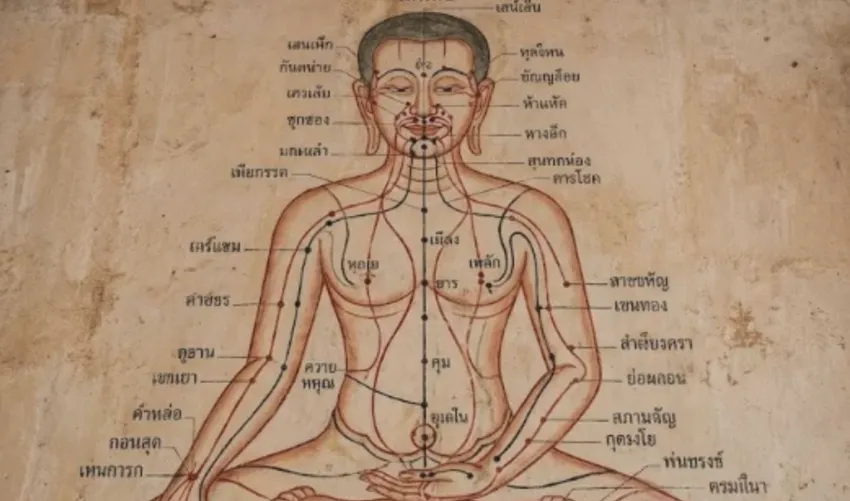Les lignes Sen dans le massage thaï
